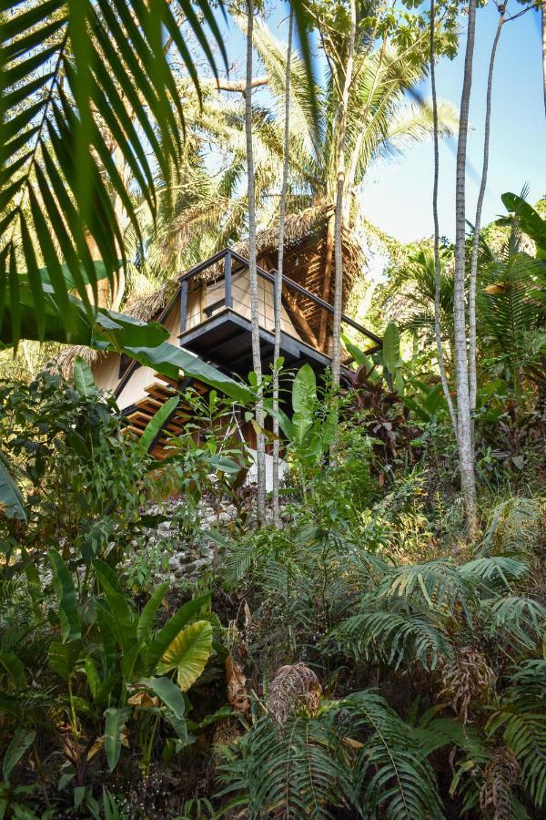 Bohemia Experience Villa Playa Santa Teresa  Exterior photo